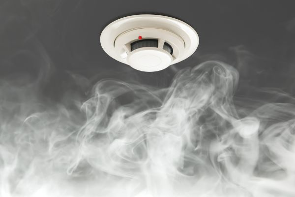 Cost of Smoke Mitigation Service in Dunedin