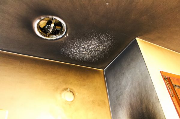 Cost of Smoke Damage Remediation in Dunedin